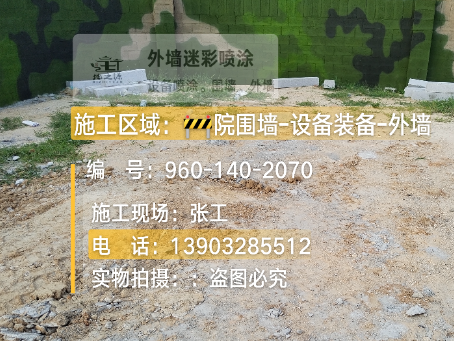巴南迷彩漆喷涂方法（通用 + 数码专项